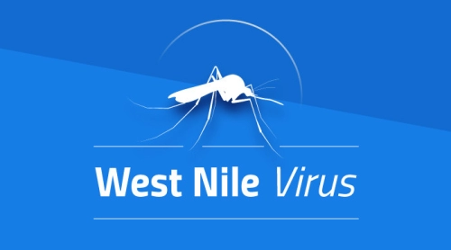 Nuovo caso di West Nile a Palermo, le rassicurazioni degli esperti 