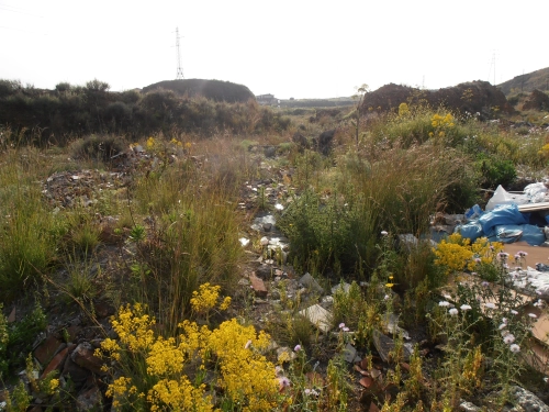 Complesso polifunzionale polizia di Stato