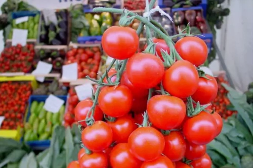 Sammartino sull'allarme salmonella: 